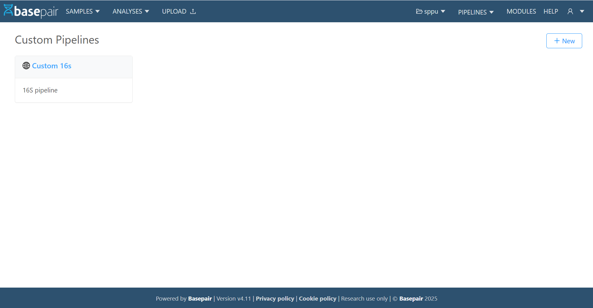 Custom Pipelines — list and +New