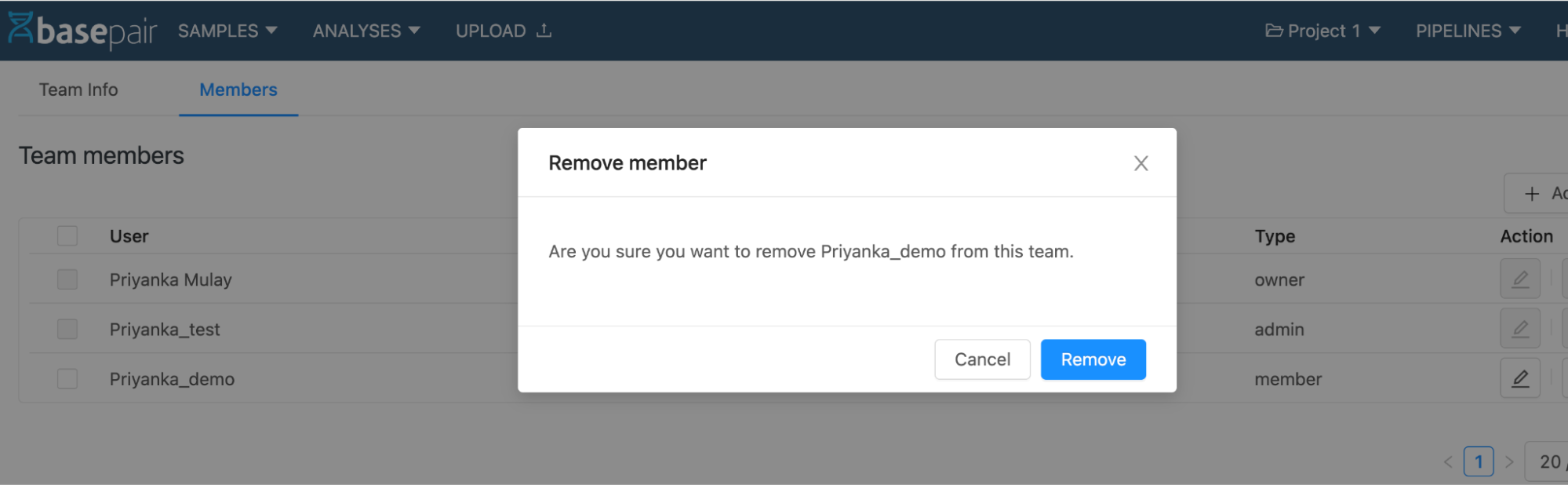 remove-member-dialog